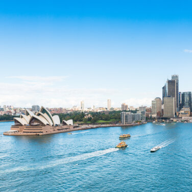 Sydney city view - information night mobile image